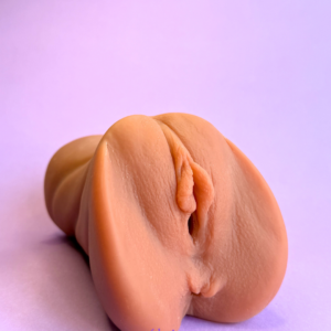 Modelo Anatómico - Vulva